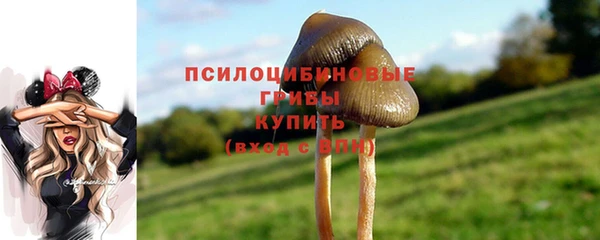 прущая мука Осташков