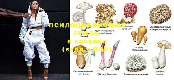 прущие крисы Алексеевка
