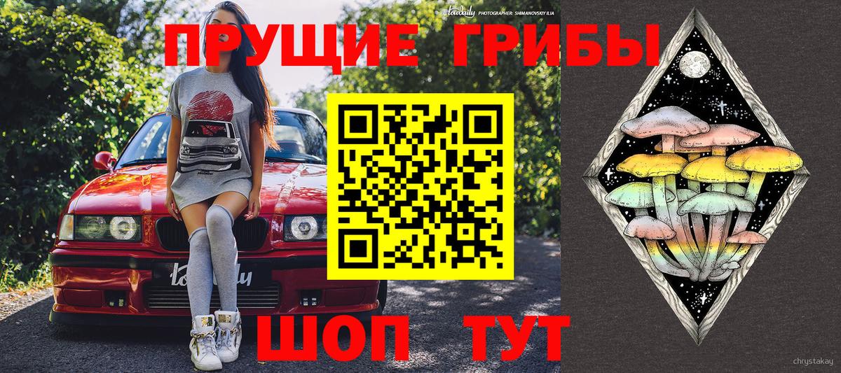 Псилоцибиновые грибы мухоморы Белореченск