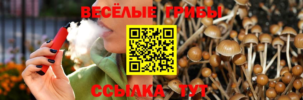 Галлюциногенные грибы ЛСД  Вход с VPN  Белореченск 